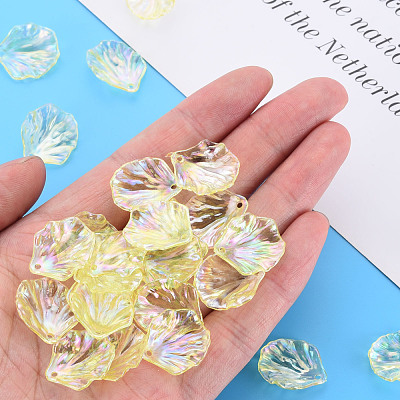 Transparent Acrylic Pendants MACR-S373-73-C03-1