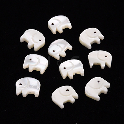 Natural Trochid Shell/Trochus Shell Beads SSHEL-T014-31-1