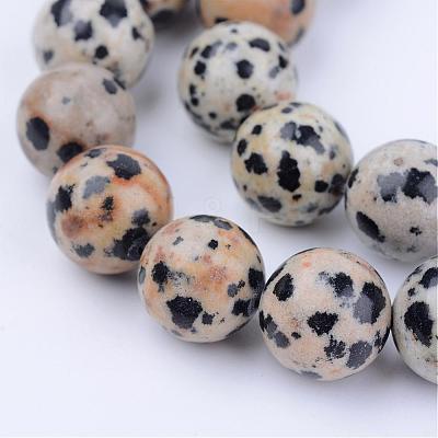 Natural Dalmatian Jasper Beads Strands G-Q462-8mm-30-1