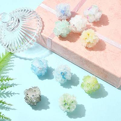10Pcs 10 Colors Resin Beads RESI-FS0002-24A-1