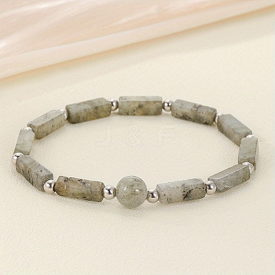 Natural Labradorite Beaded Stretch Bracelets for Men Women WGE4A78-05-1