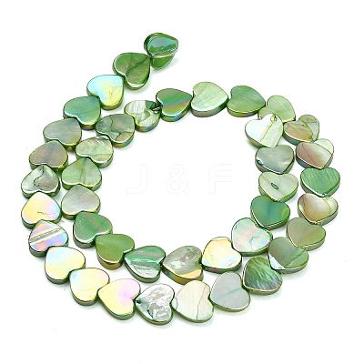 Natural Freshwater Shell Beads Strands SH-CBA93AD-06D-1