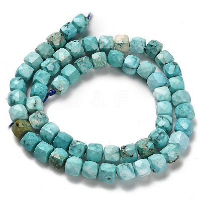 Dyed Natural Howlite Beads Strands G-H078-C28-01-1