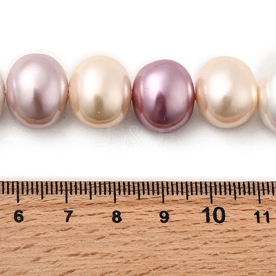 Shell Pearl Beads Strands BSHE-F013-01P-1