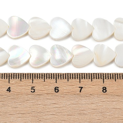 Natural Freshwater Shell Beads Strands SHEL-K010-04-1