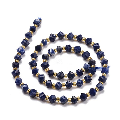 Natural Sodalite Beads Strands G-P463-03-1