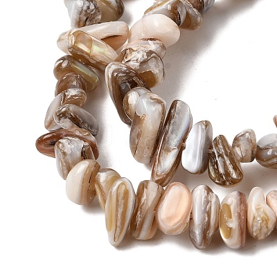 Natural Freshwater Shell Beads Strands X-SHEL-A006-05-1