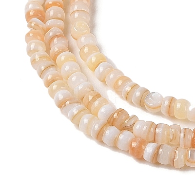 Natural Freshwater Shell Beads Strands SHEL-P017-01B-10-1