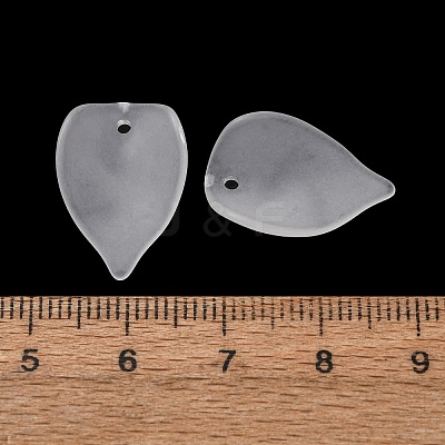 Frosted Acrylic Pendants AC-CBA1E6C-02-1