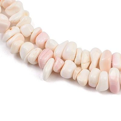 Natural Pink Shell Beads Strands X-SSHEL-L016-19-1