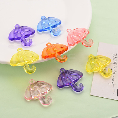 Transparent Acrylic Pendants TACR-T024-01B-1