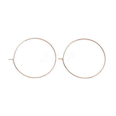 Ion Plating(IP) 316L Surgical Stainless Steel Hoop Earring Findings STAS-D164-06RG-1