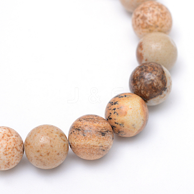 Round Natural Picture Jasper Bead Strands G-R345-8mm-19-1