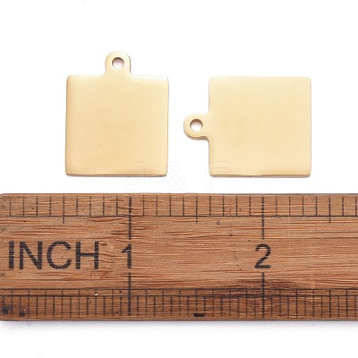 304 Stainless Steel Pendants LS-STAS-I140-23B-G-1