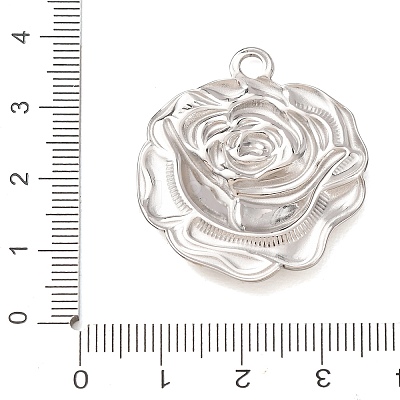 304 Stainless Steel Pendants SA-CBAB6EC-01P-1