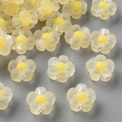 Transparent Acrylic Beads TACR-S152-06C-SS2105-1