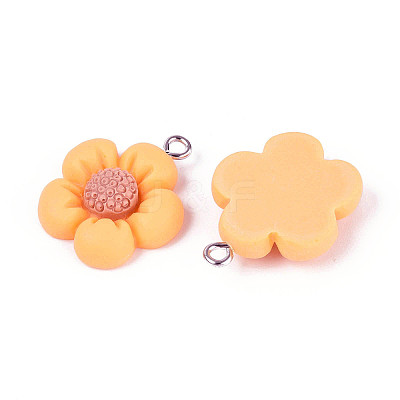 Resin Pendants RESI-C002-09-1