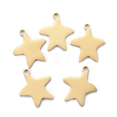 304 Stainless Steel Pendants LS-STAS-I140-13G-1