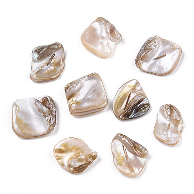 Freshwater Shell Beads LS-X-SSHEL-T005-11-1