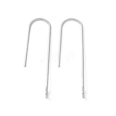316 Surgical Stainless Steel Earring Hooks STAS-Z124-02D-P-1