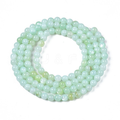 Natural Freshwater Shell Beads Strands BSHE-T009A-01D-1