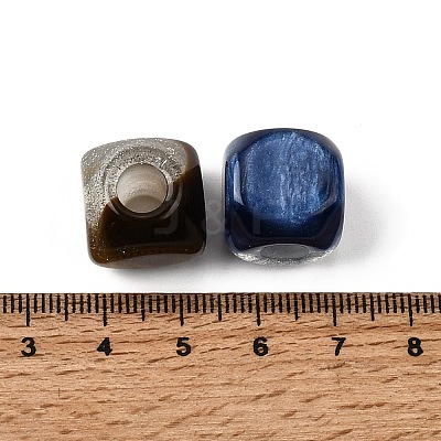 Resin European Beads RESI-Z053-01-1
