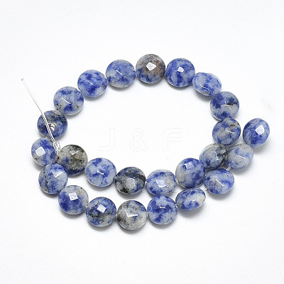 Natural Blue Spot Jasper Beads Strands G-S357-F06-1