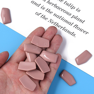 Opaque Acrylic Cabochons MACR-S373-136-A14-1