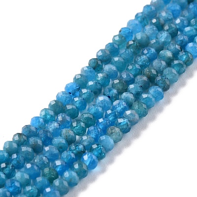 Natural Apatite Beads Strands X-G-K312-20B-1