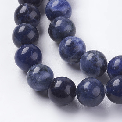Natural Sodalite Beads Strands G-G448-10mm-25-1