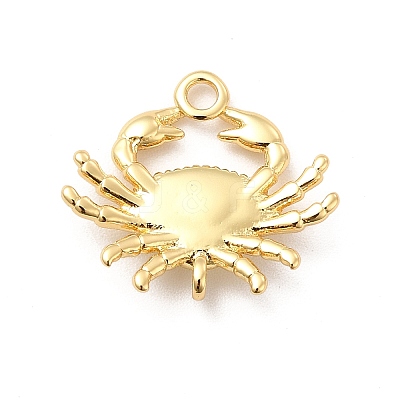 Rack Plating Brass Pendants KK-K270-30G-1