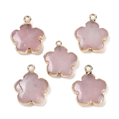 Natural Rose Quartz Pendants G-P566-01G-10-1