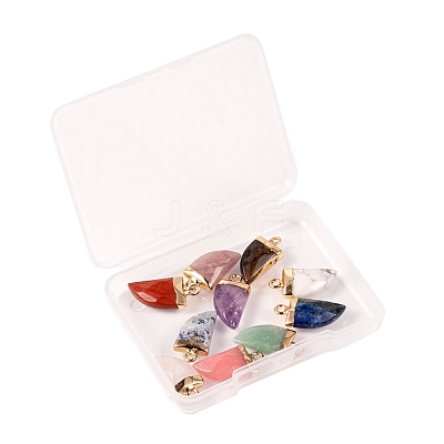 10Pcs 10 Style Natural Gemstone Pendants G-LS0002-14-1