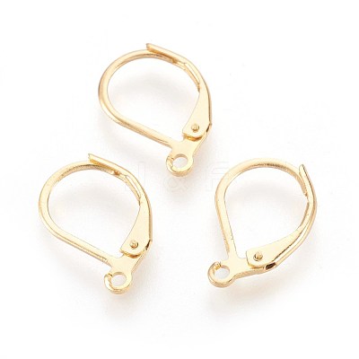 304 Stainless Steel Leverback Earrings Findings STAS-F188-10G-1