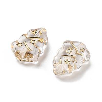 Metal Enlaced Transparent Acrylic Beads LS-X-MACR-M045-09-1