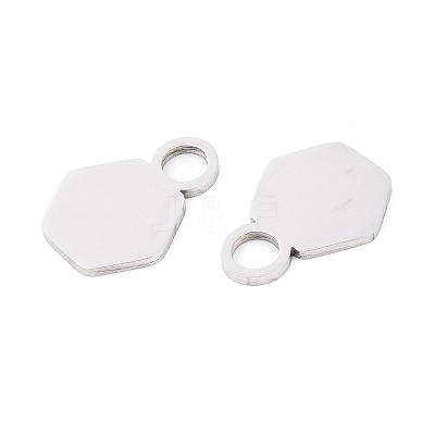 304 Stainless Steel Charms LS-STAS-T070-13P-1