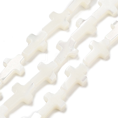 Natural White Shell Beads Strands SSHEL-F0812C-1