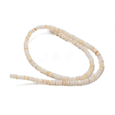 Dyed Natural Freshwater Shell Beads Strands X1-BSHE-G039-07N-1