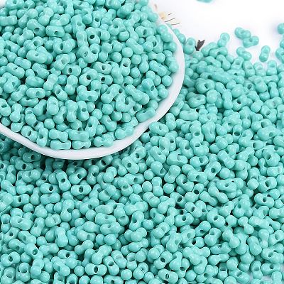 Baking Paint Glass Seed Beads X1-SEED-K010-A19-1