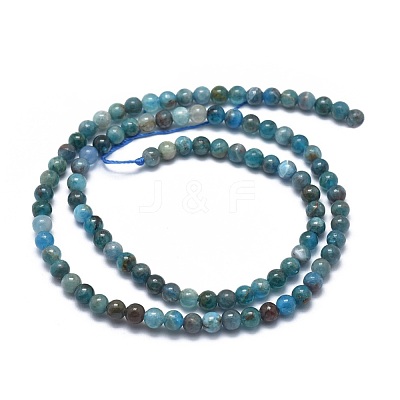 Natural Apatite Beads Strands G-I254-08A-1