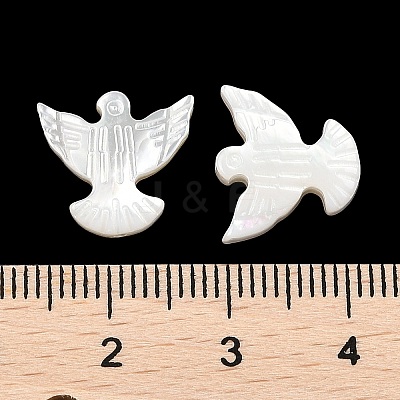 Natural White Shell Carved Beads SSHEL-I026-29-1