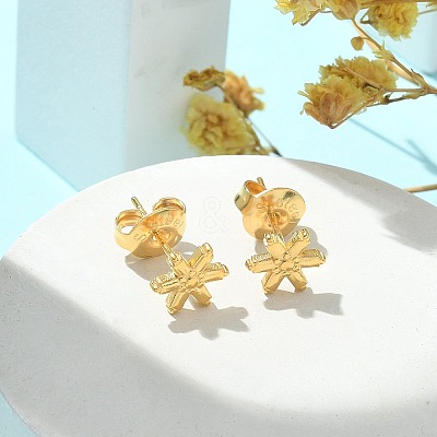 304 Stainless Steel Stud Earrings for Women LS-STAS-Z117-14G-04-1