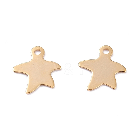 201 Stainless Steel Charms STAS-B001-15G-1