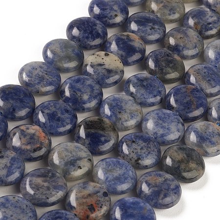 Natural Sodalite Beads Strands G-M403-C11-1