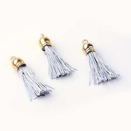 Polyester Tassel Pendant Decorations FIND-T005-A24-1