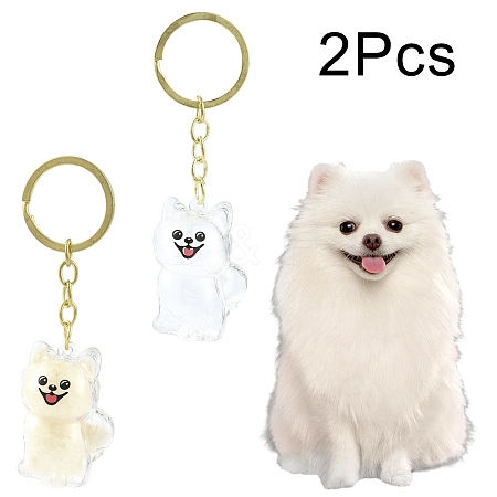 Iron Plastic Keychains LS-KEYC-FZC0001-001B-G-1