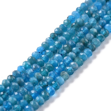 Natural Apatite Beads Strands X-G-K312-20B-1