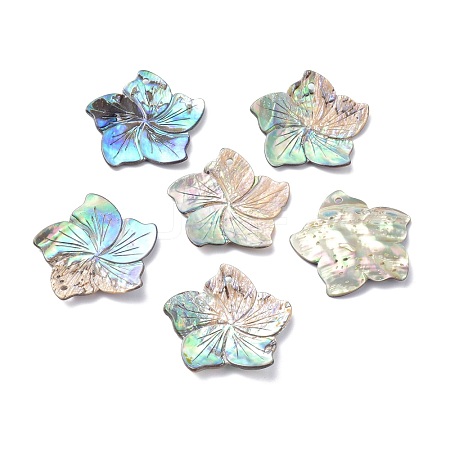 Natural Abalone Shell/Paua Shell Pendants BSHE-Z002-04-1