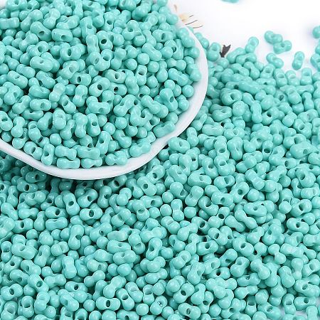 Baking Paint Glass Seed Beads X1-SEED-K010-A19-1