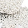 Baking Paint Glass Seed Beads X1-SEED-A032-02D-1